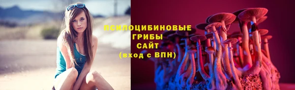 марки lsd Белокуриха